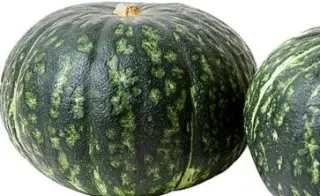 Cabucha Cabucha