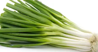 Green Onion Green Onion