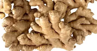 Organic Ginger Organic Ginger