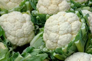 Cauliflour Cauliflour