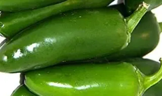 Jalapino Jalapino