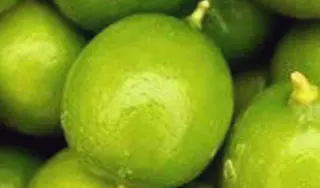 Limes Limes