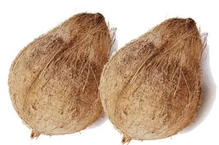 Dry Coconut Dry Coconut