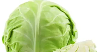 Cabbage Cabbage