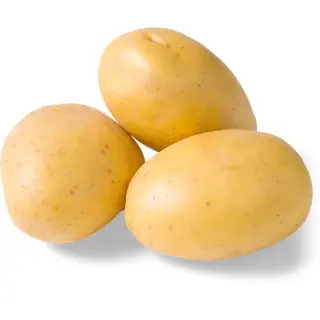 Yellow Potato Yellow Potato