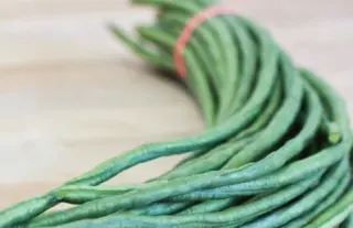 Long Bean Green Long Bean Green