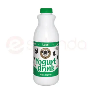 Mint Yogurt Drink Mint Yogurt Drink