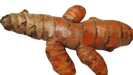 Haldi (Turmeri Root) Haldi (Turmeri Root)